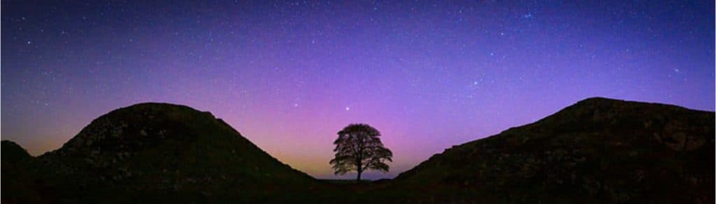 Jim Kearney: Sycamore Gap Aurora