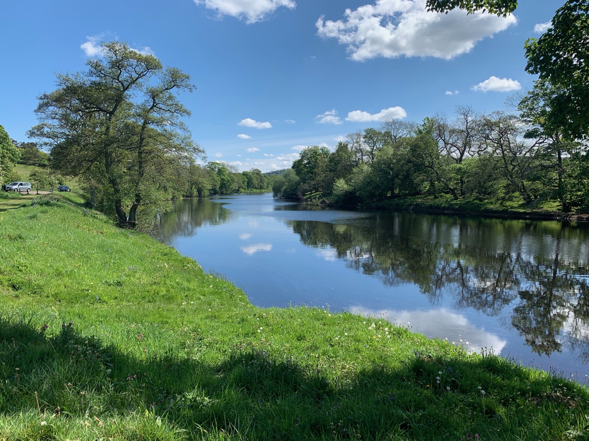 North Tyne at Wark Angling Club Beat